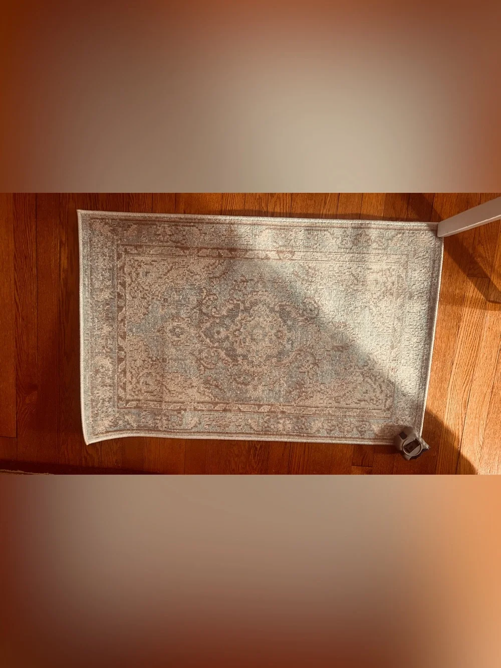 Classic Ivory and Light Blue Momeni Rug - Neutral Vintage Style 36”.x 23 1/2”